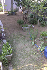 before garden